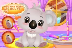 Baby Koala Salon