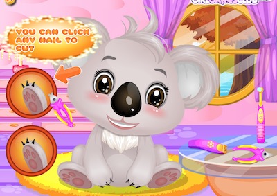 Baby Koala Salon