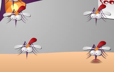q4/kill-the-mosquito
