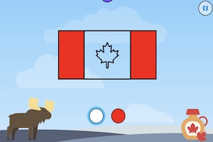 Flag Paint: World Tour flag paint