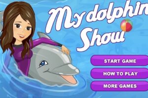 My Dolphin Show